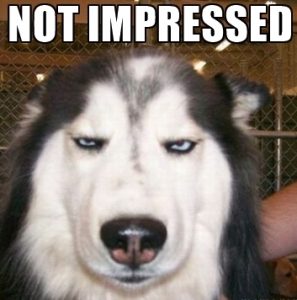 not-impressed.jpg
