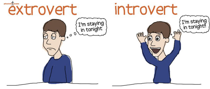 introvert-vs-extrovert.jpg