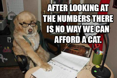 Accountant-Dog.jpg
