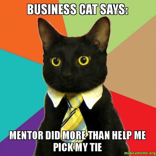 Business-cat-says.jpg