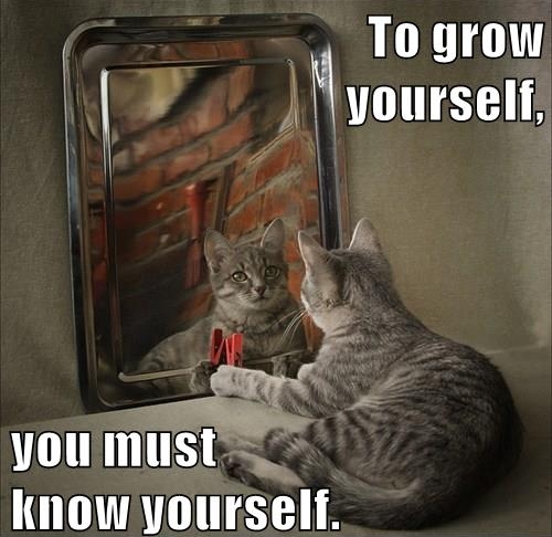 To grow yourself you must know yourself.jpg