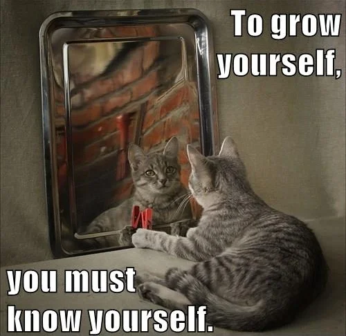 To grow yourself you must know yourself.jpg