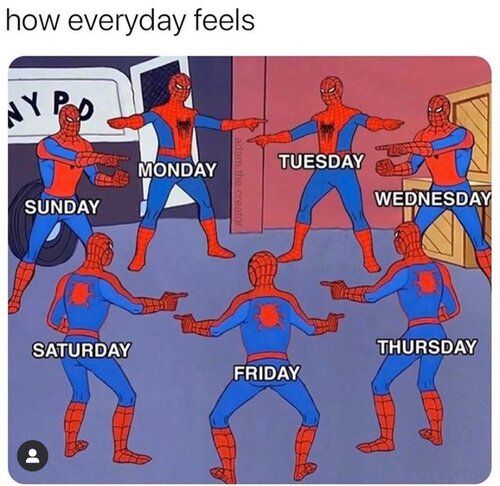 spiderman every day is the same.jpeg