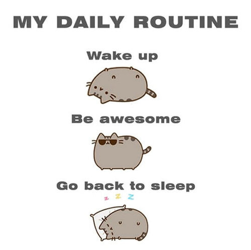 daily routine.jpg