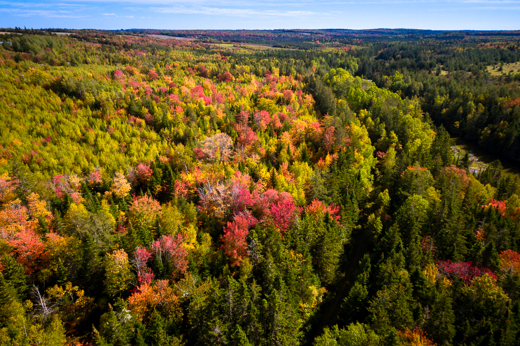 Welcome, Autumn