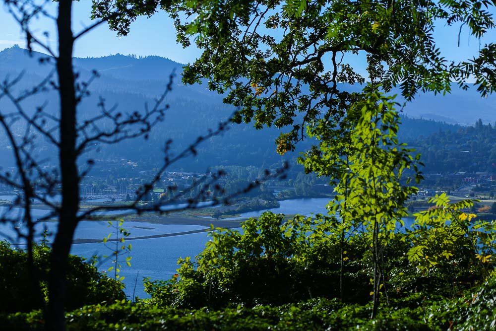 BAC Braun Arbor Care Tree Doctor Tree Maintenance Tree Wizard The Gorge Aboriculture Tree Maintenance Columbia Gorge Hood River Oregon Arbor Tree Surgeon Tree Removal Tree Expert Immense Imagery Website Photos_.jpg