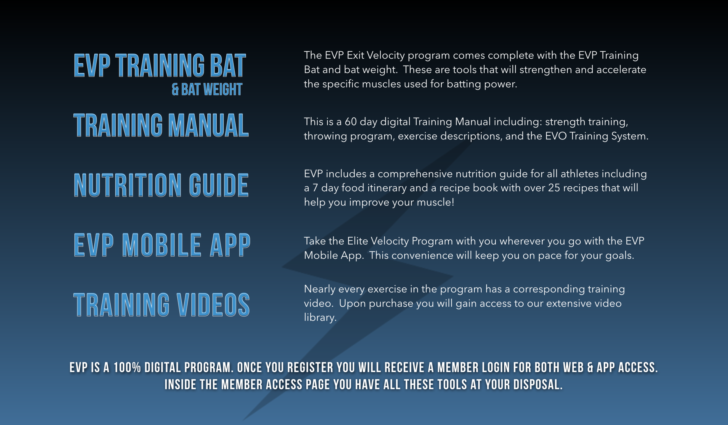 weighted bat training program