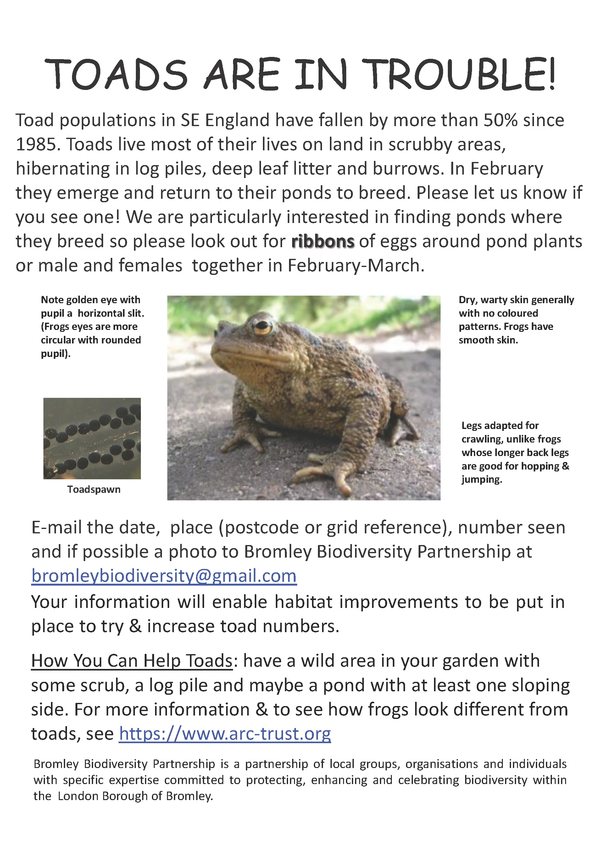 Toads are in trouble!