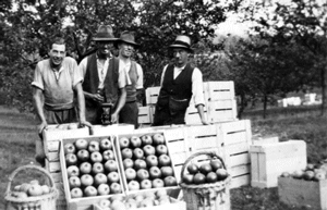 Chislehurst Half Marathon