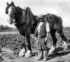 Butterfly Survey Training