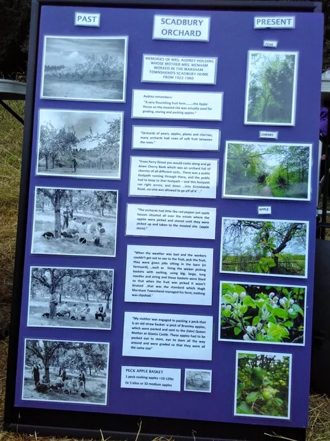 Orchard display 4.jpeg
