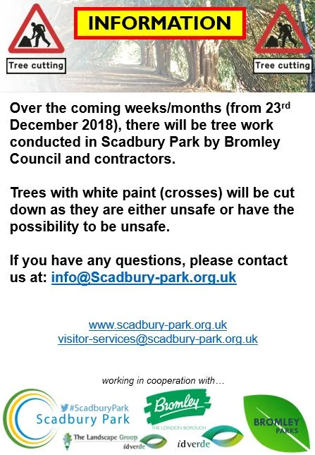 Tree Work in Scadbury Park
