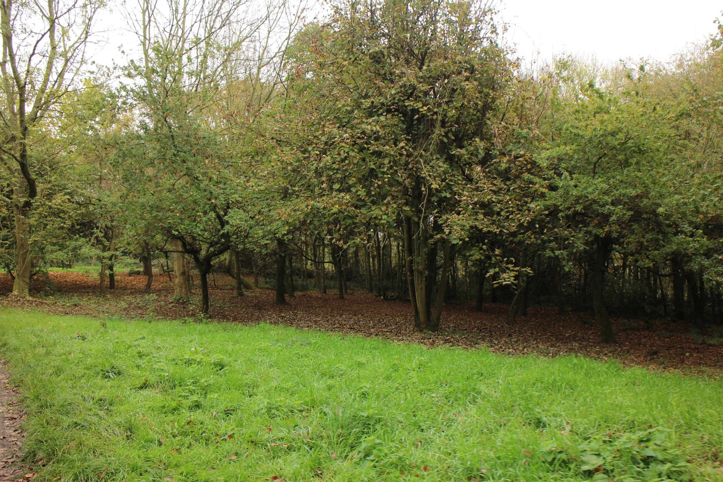 Offcial Opening of Natural Play Area and Picnic Area