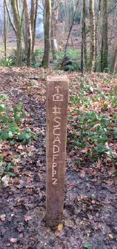 Scadbury Park Fixed Point Photography Post Pilot