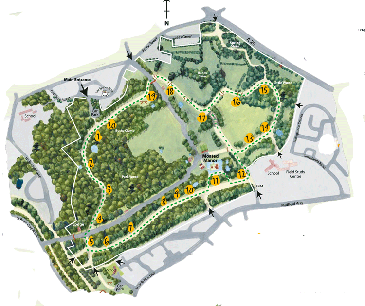 The Acorn Trail - Overview