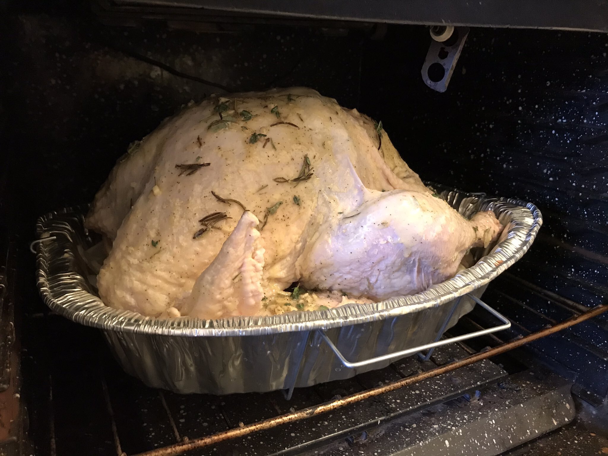 Raw Turkey 4.jpg