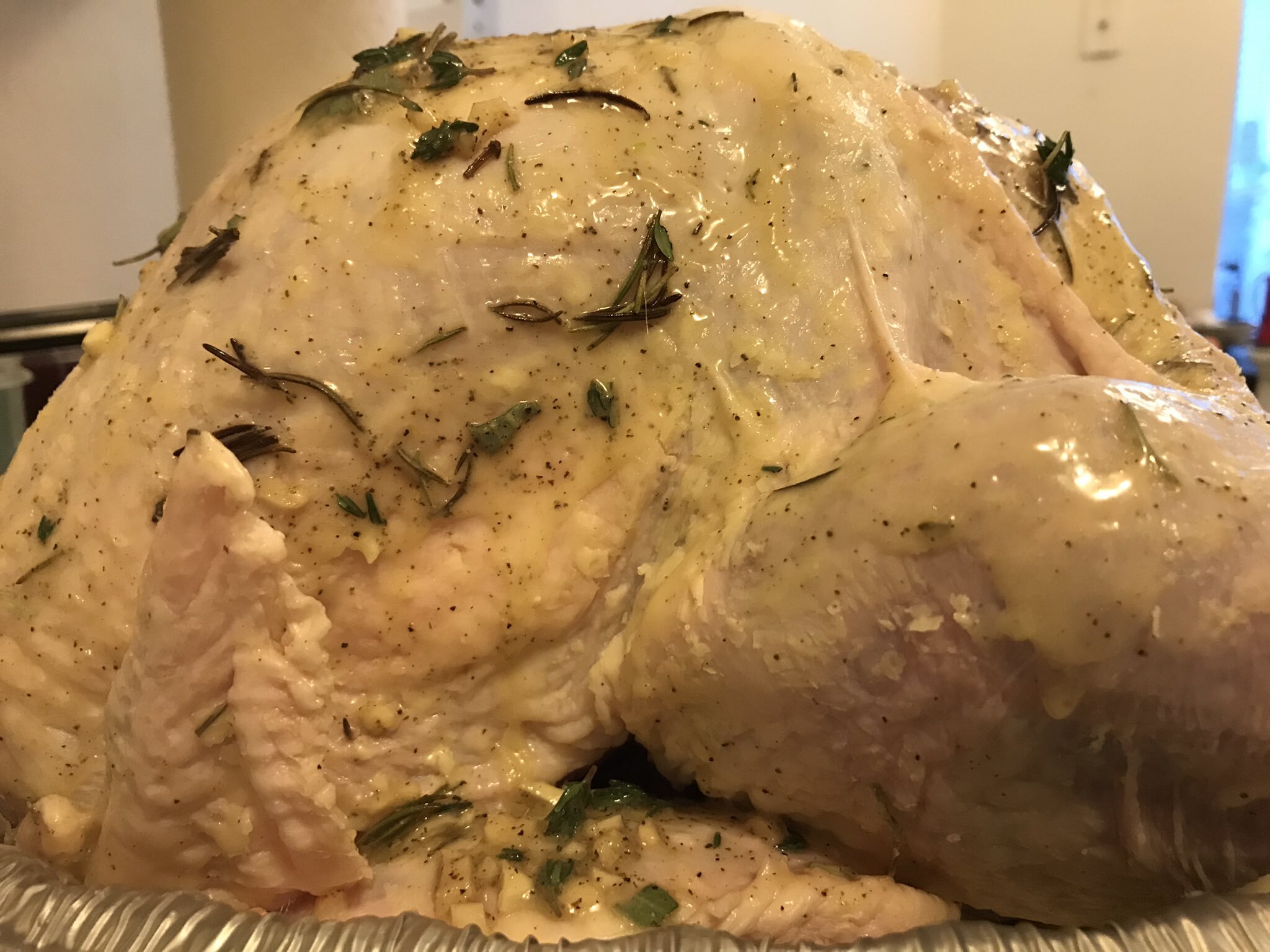 Raw Turkey 2.jpg