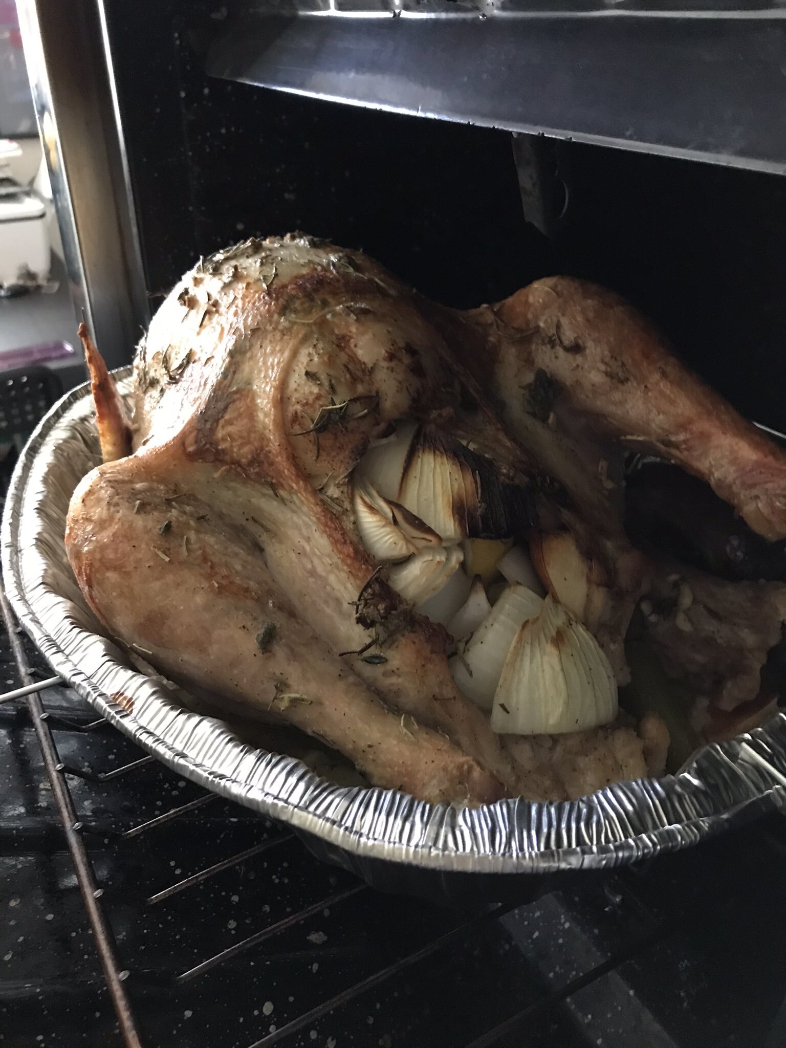 Semi Brown Turkey 1.jpg