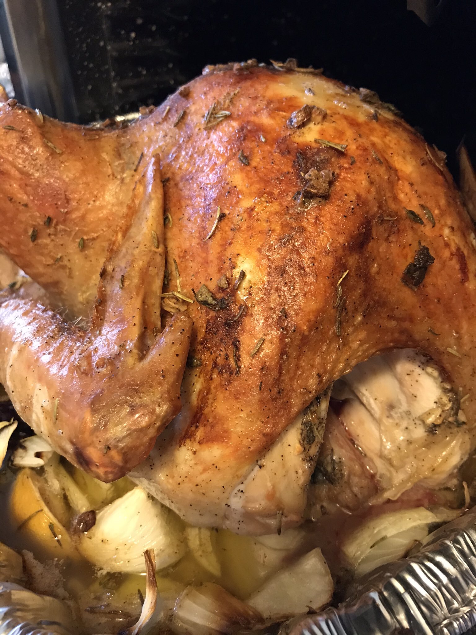 Brown Turkey 2.jpg