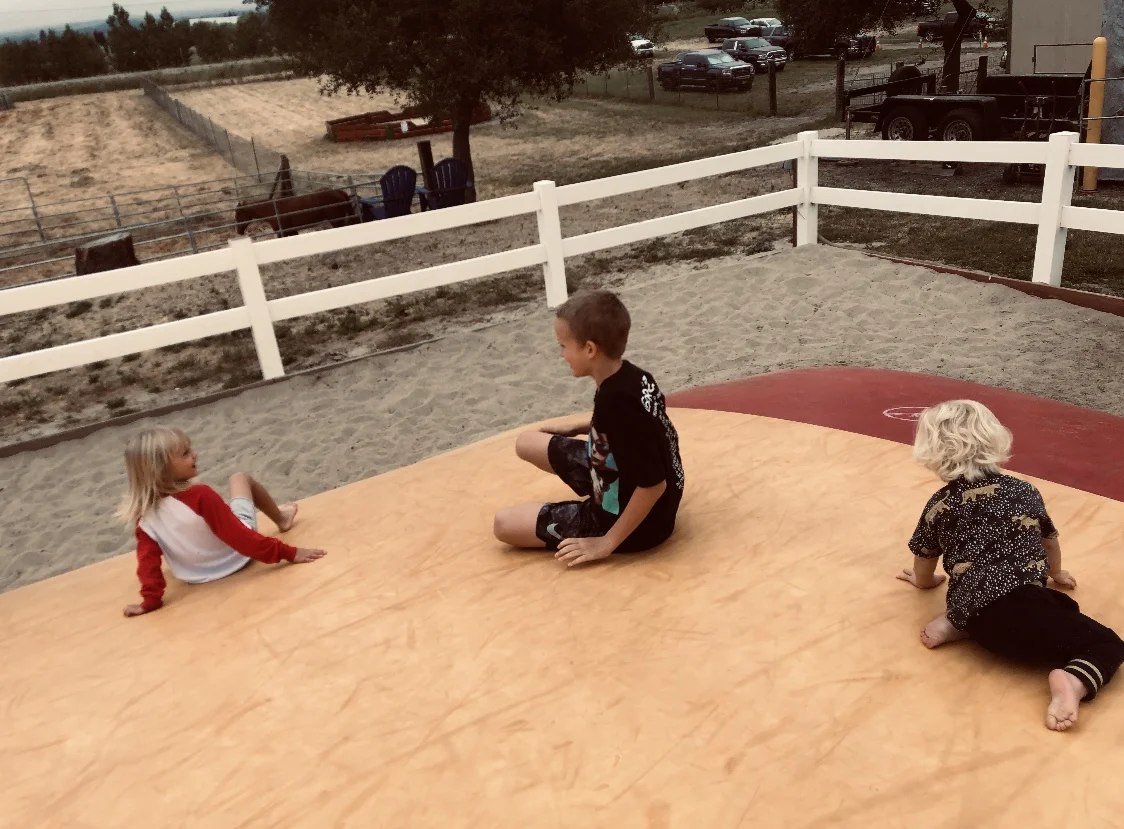 image12.jpeg