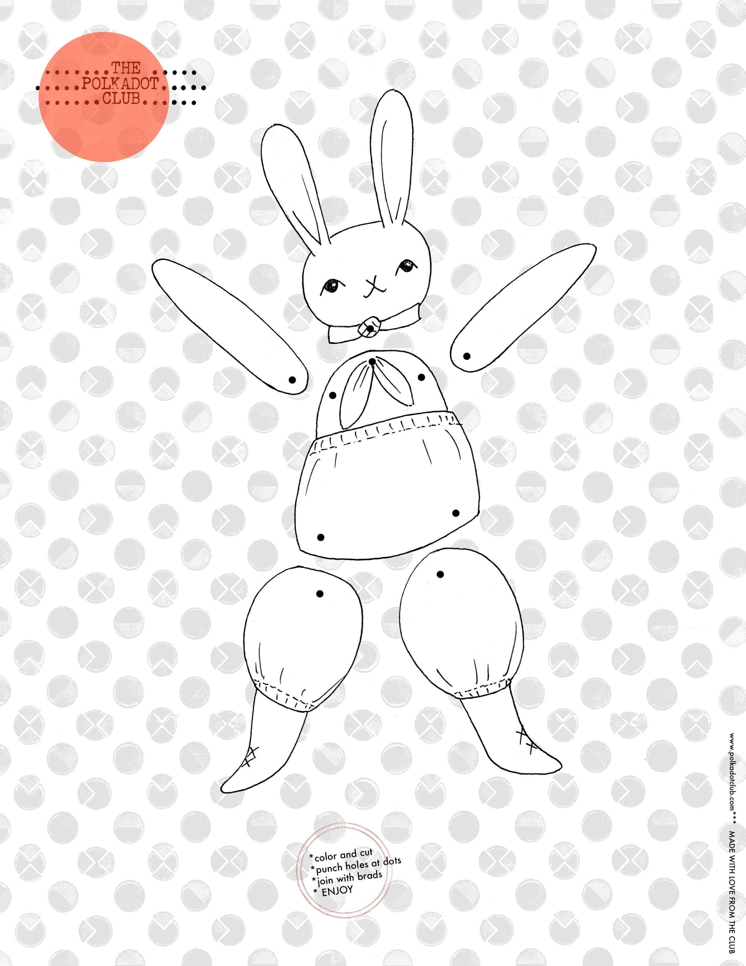 PDC_forMP_rabbit4.jpg