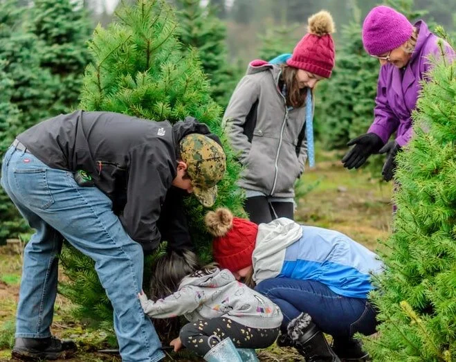 Creating the Perfect Holiday Experience For Your Kids After a Divorce