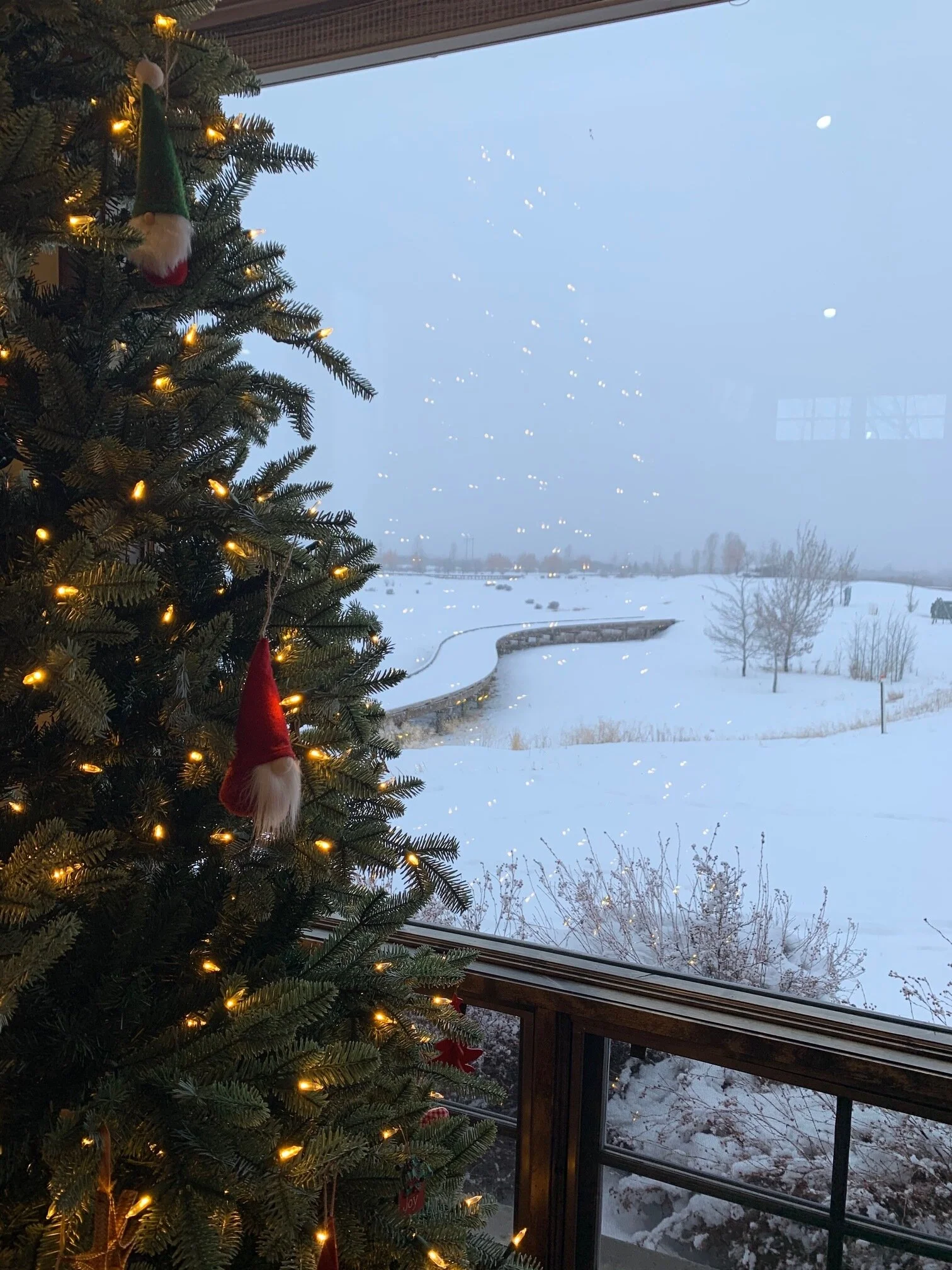 Happy Holidays from Your Zen Mama