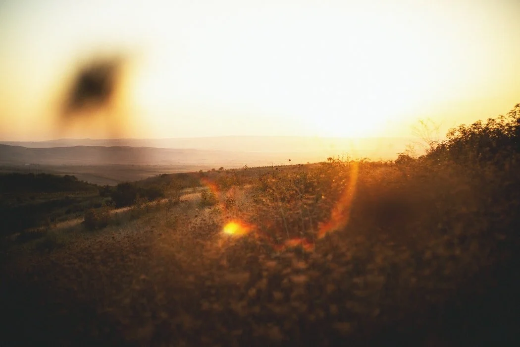 Mom Burnout: Five Strategies to Beat Survival Mode by Dana Bowman