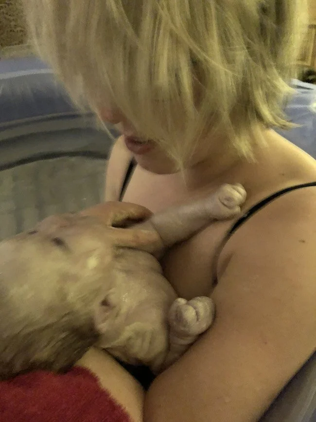 Birth Stories by Sorrel