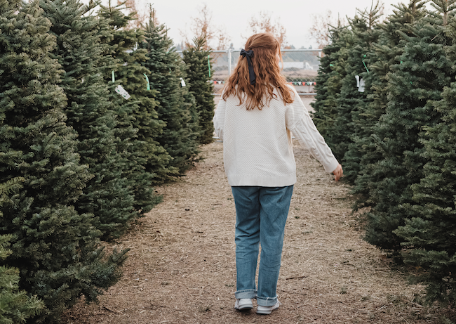 Honor Yourself During the Holidays: 6 Ways to Create a Plan When You Feel Tender by Carol McClelland Fields, PhD, BCC