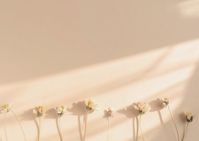 A New Year Reset for Families