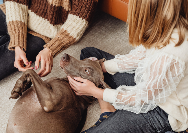 The Quiet Confidence Children Build in Everyday Moments