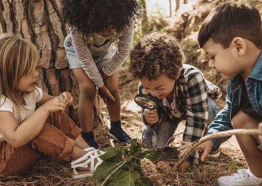 Teaching Kids About Seasonal Change