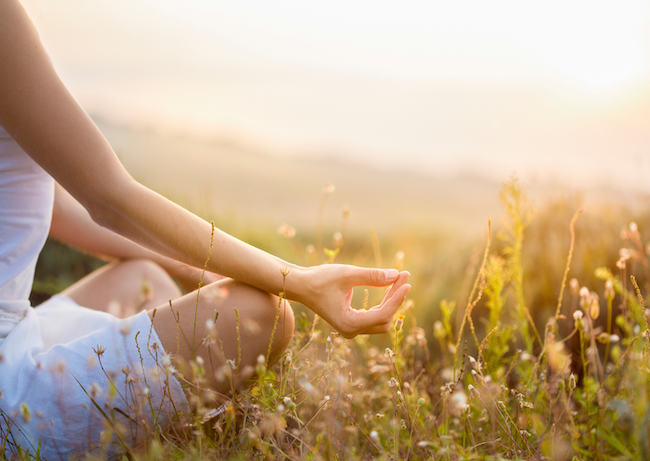 The Brave Blueprint: Improving Our Daily Habits by Anita Kanti 