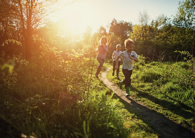 Play Ideas for Curious Minds 