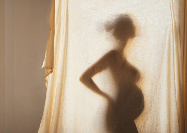 The Emotional Landscape of Motherhood