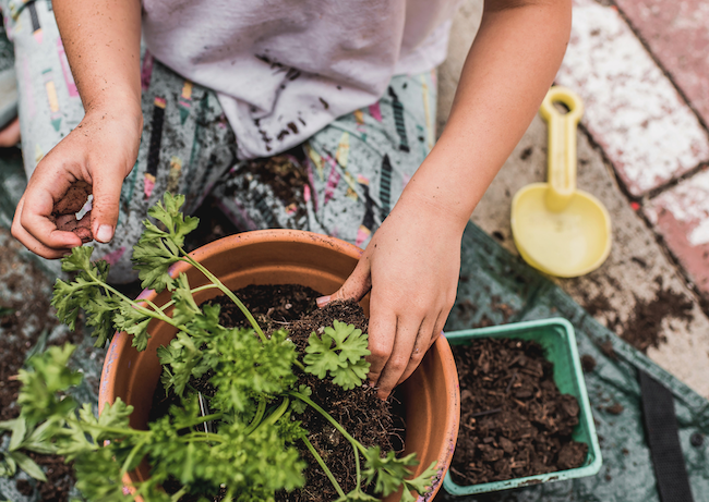 Growing Food With Children