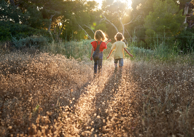 How Nature Helps Busy Nervous Systems Reset