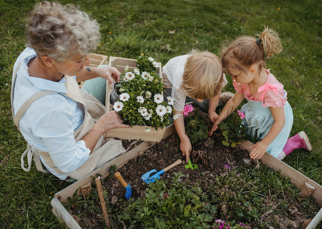 How Digging, Planting and Waiting Shape Childhood
