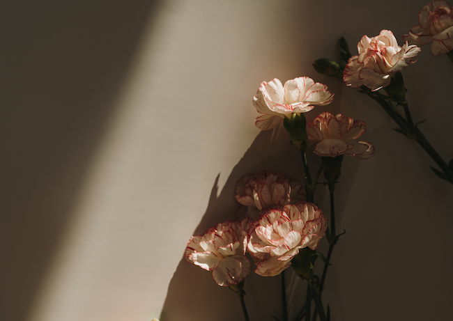 The 3 Myths About Grief&nbsp;by Mia Roldan LCSW, LCDC