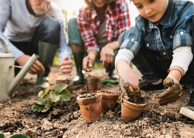 10 Easy Flowers Children Can Grow From Seed