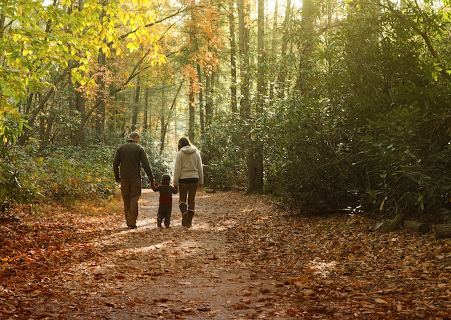 7 Fall Foliage Hikes for Families Across the U.S. by Mia Barnes