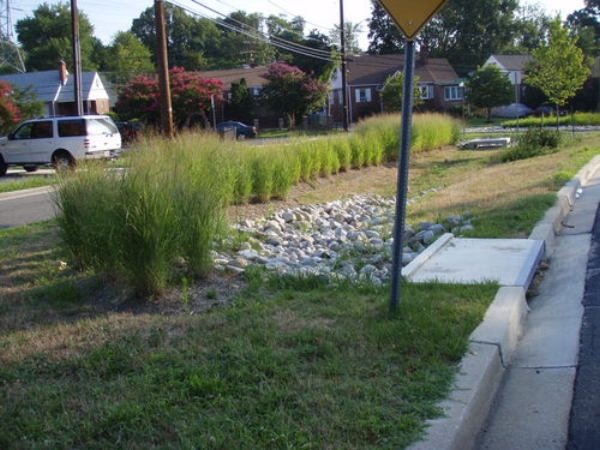 Photo by Anacostia Watershed Society .