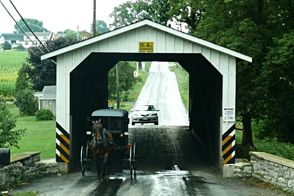 Eshleman's Mill Covered Bridge with Amish buggy. Photo by Ad Meskens via Wikimedia Commons .