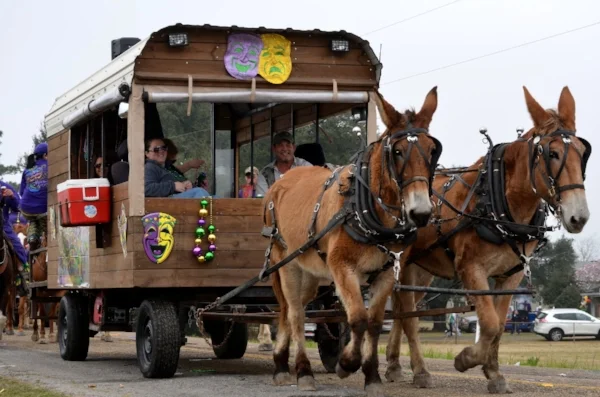 Courir de Mardi Gras, Church Point, LA. Photo via bayouwoman.com .