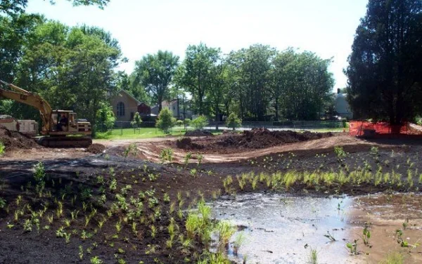 Michael S. Bezega Wetland Observation Park.