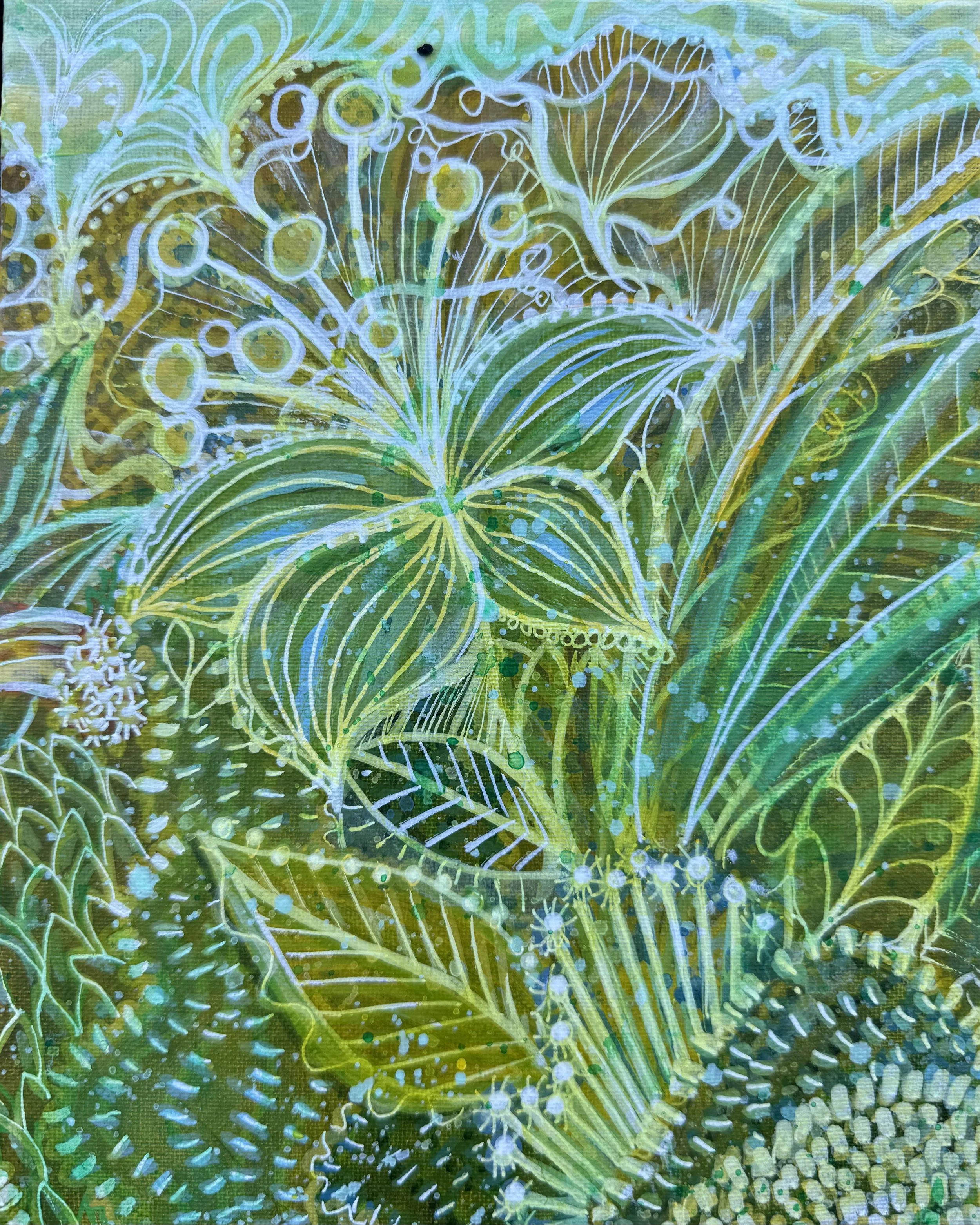 13 - Baja Bloom.jpeg