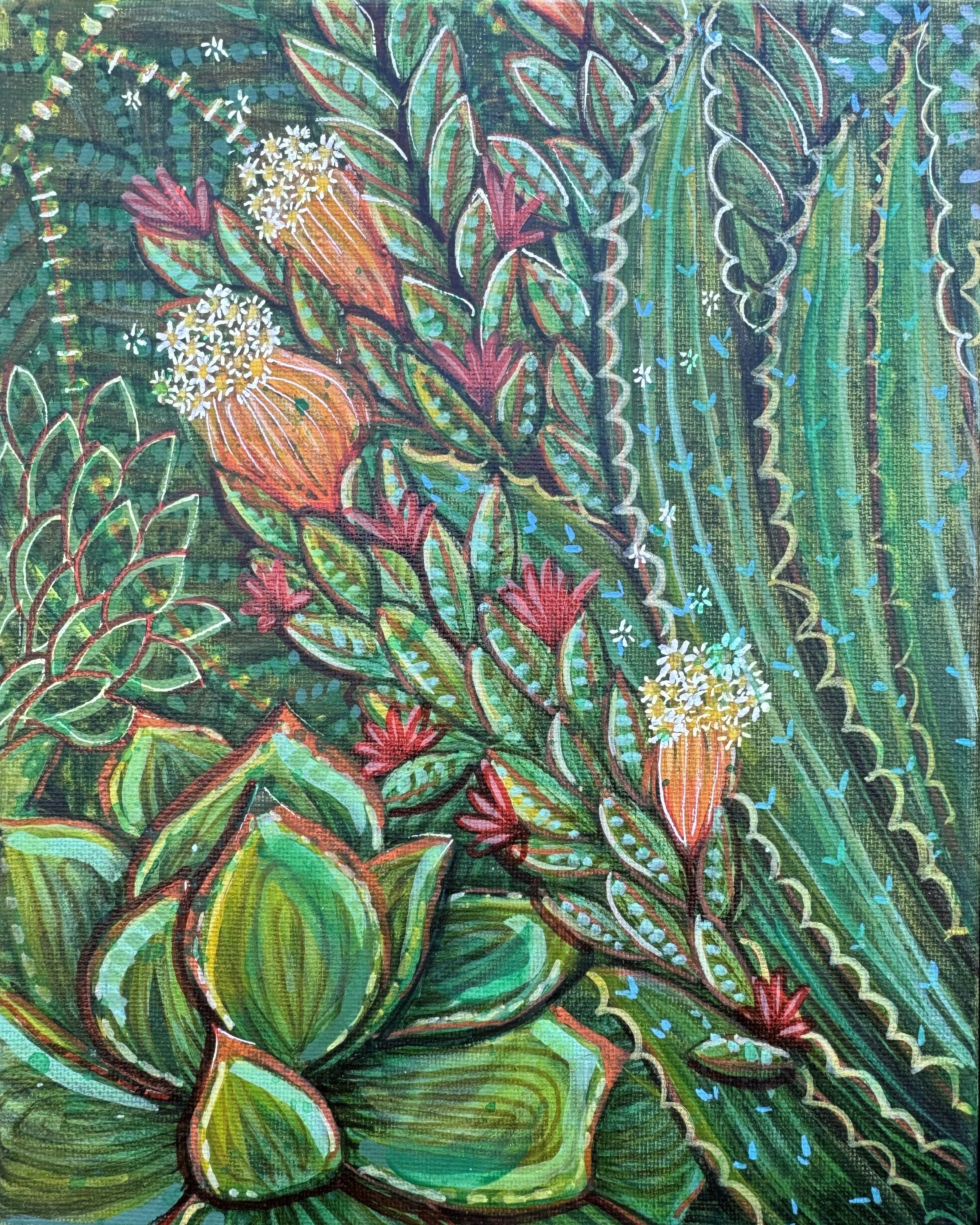 12 - Baja Bloom.jpeg