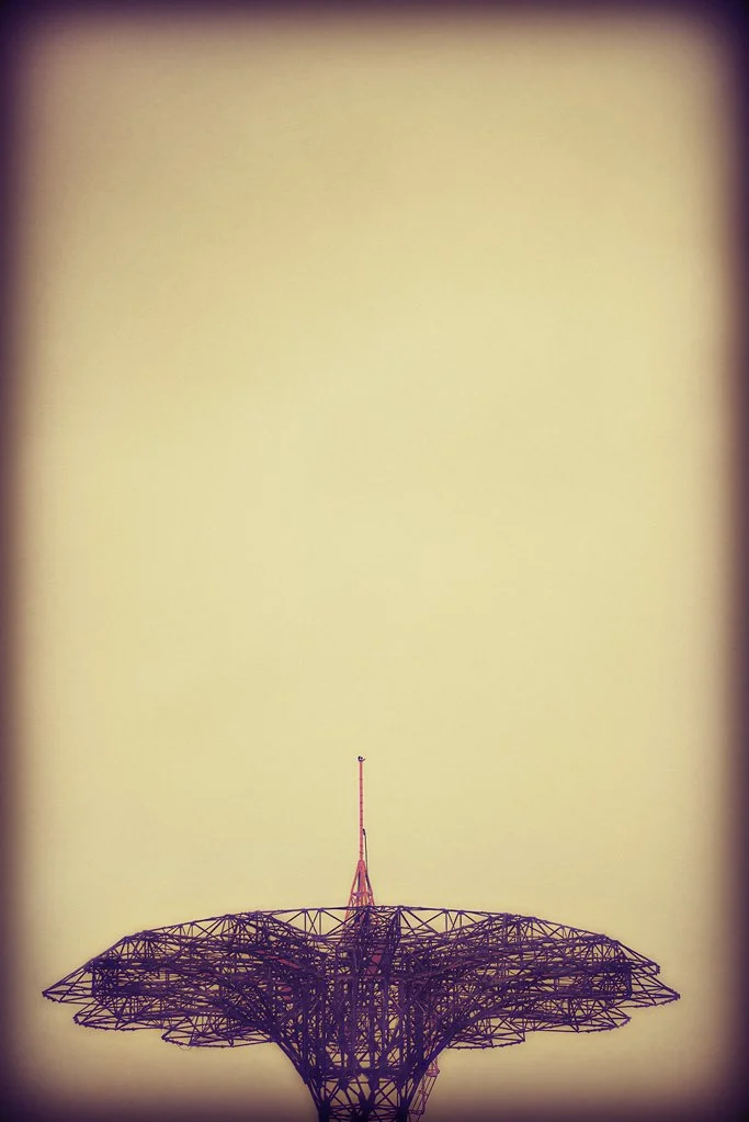l-8.jpg