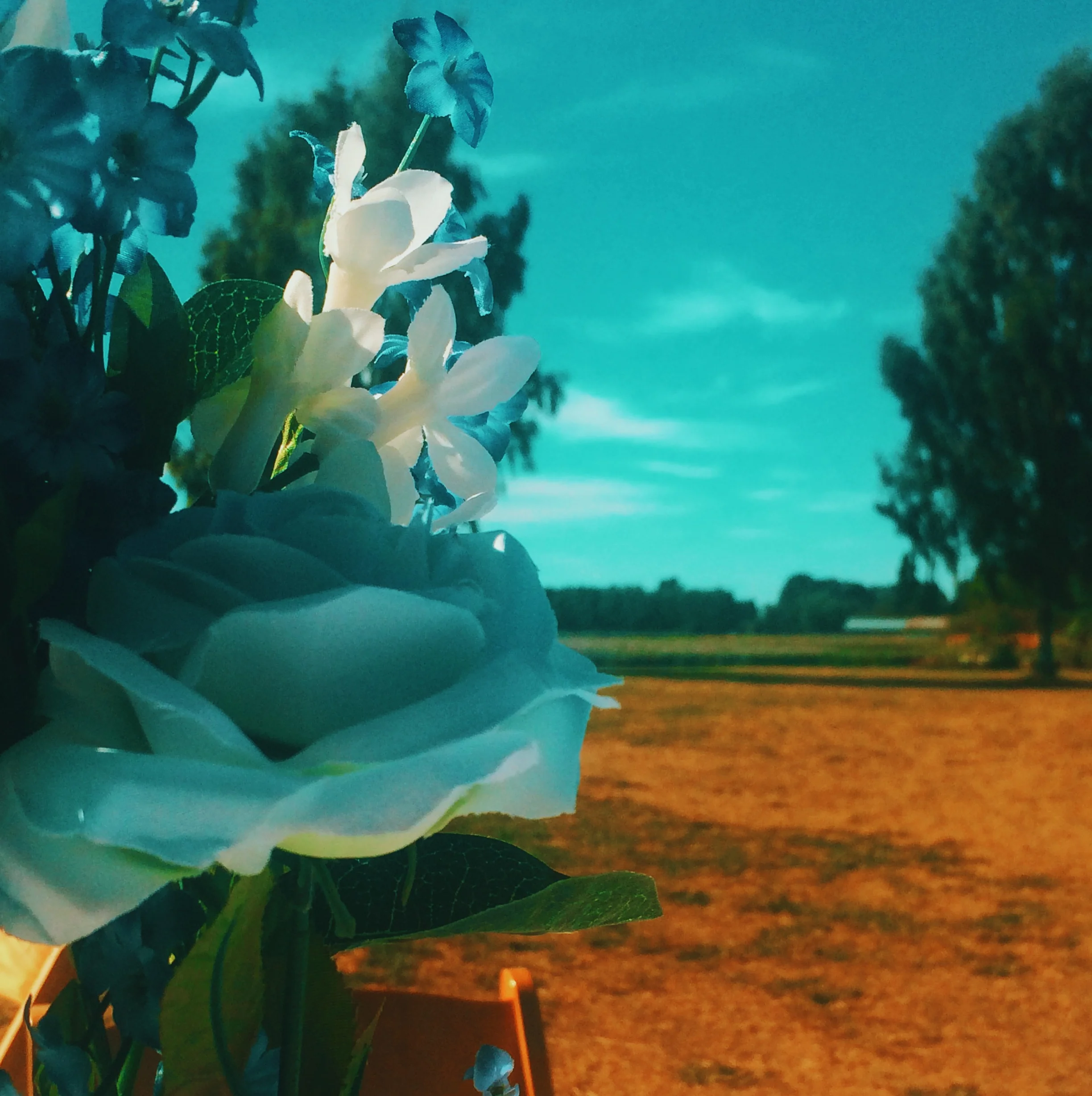 Weddings And Why You Shouldn't Hold Your Breath For Mine.